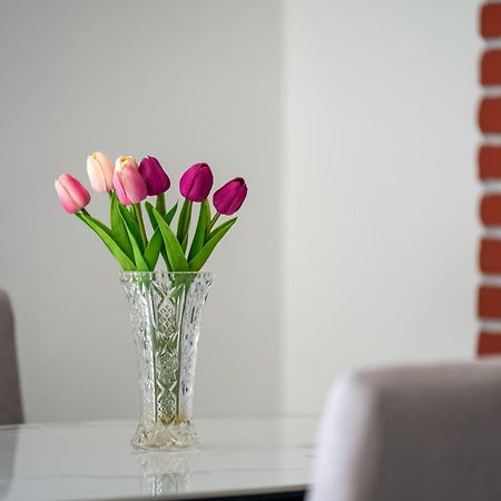 Apartment Gioia Rovinj Eksteriør bilde