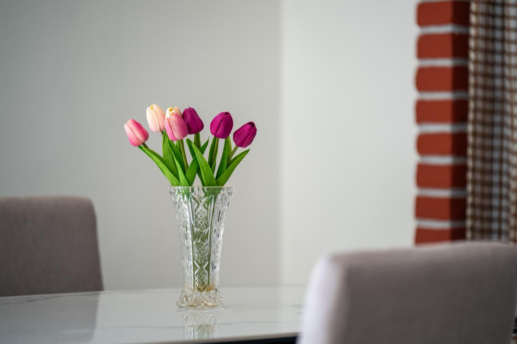 Apartment Gioia Rovinj Eksteriør bilde